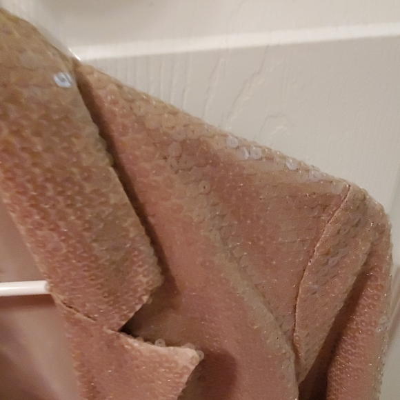 sequin blazer - Picture 3 of 3